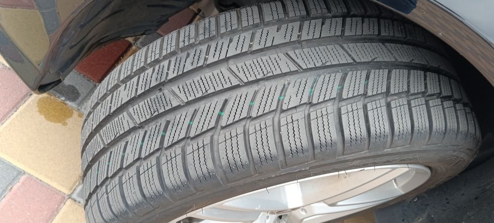 Без жодного підкрасу, один с живих мурчиків на самому правильному двиг