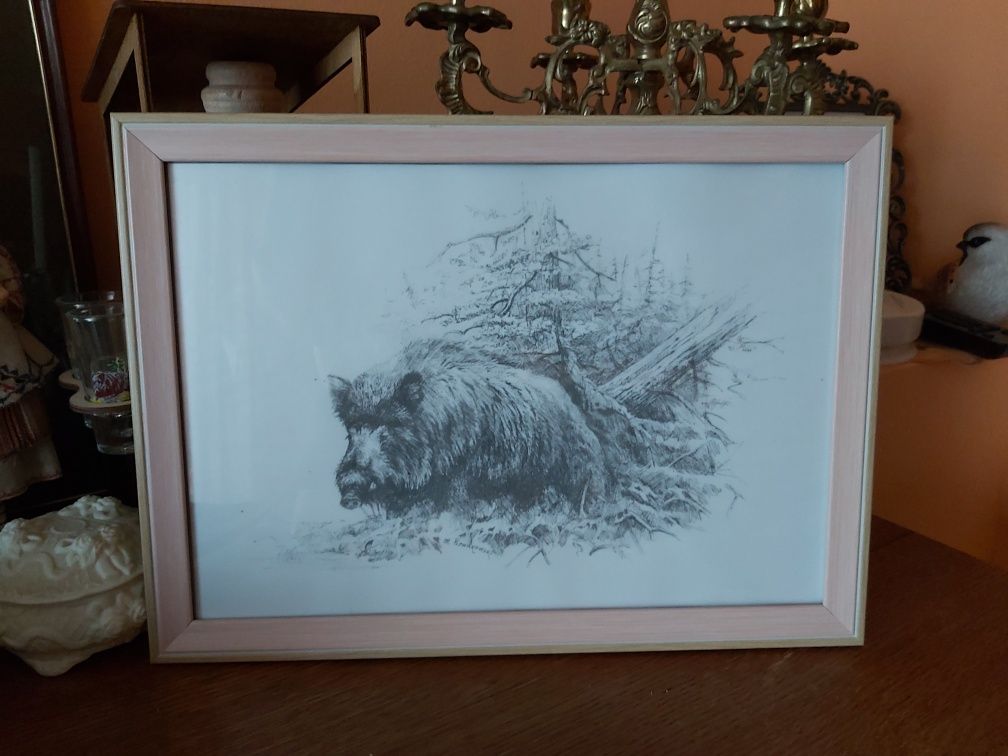 Odyniec dzik Grafika myśliwska łowiecka polowanie A4.