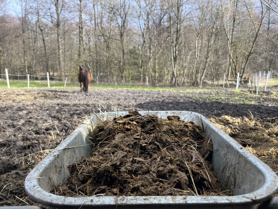 Bio Obornik nawóz ekologiczny koński czysty