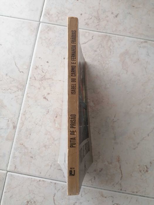 Puta de prisão - A prostituição vista em Custóias