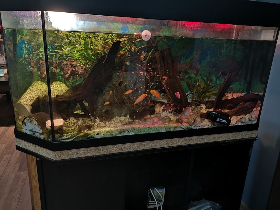 Akwarium trapezowe ok. 210L – kompletny zestaw