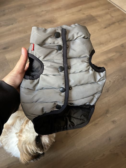 Желетка для собаки, світловідбиваюча.