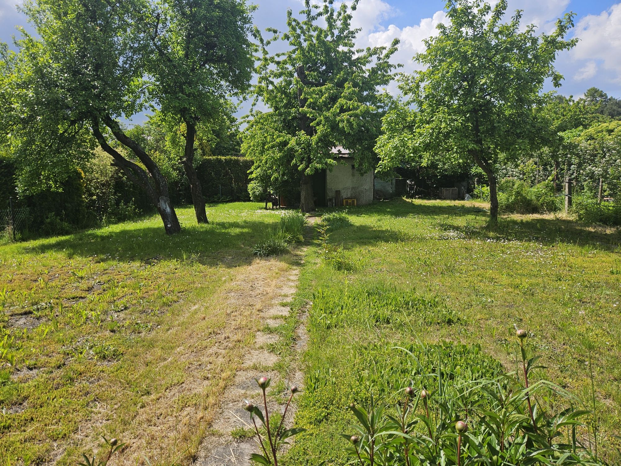 Ogródek Działkowy Rod