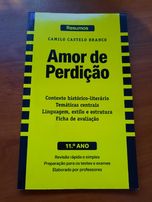 Resumos de " Amor de Perdição"