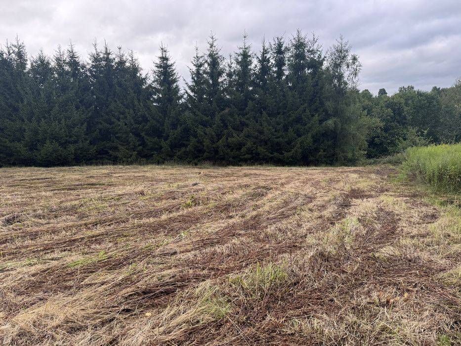 Dzialka Strzyżów Brzeżanka