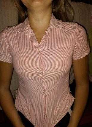 Блузка в   смужку