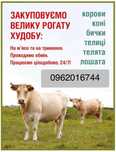 Заготівля ВРХ хороші ціни