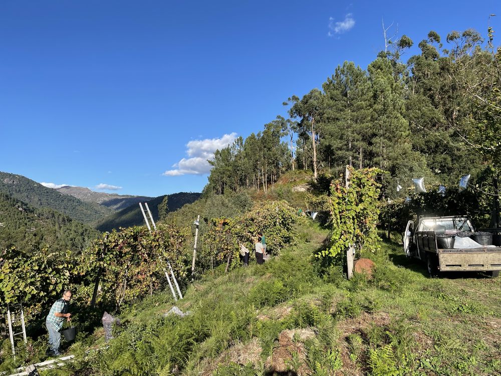 Vendo terreno frente a barragem