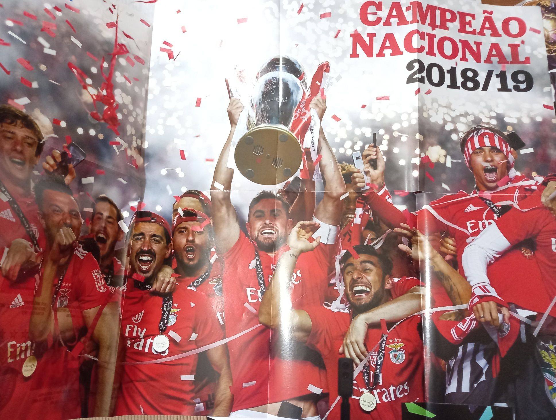 poster Benfica campeão 2018/2019 com Félix