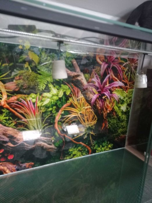 Terrarium z wentylacją
