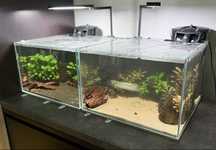 2 akwaria 40 litrow full optiwhite + filtr ro