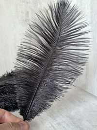 Чорне перо страуса. Декоративне перо. Декоративные перья. Цветное перо