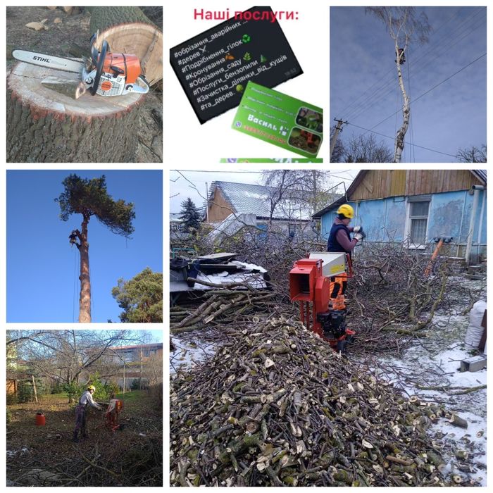 Альпініст. Зрізка аварійних дерев. Валка