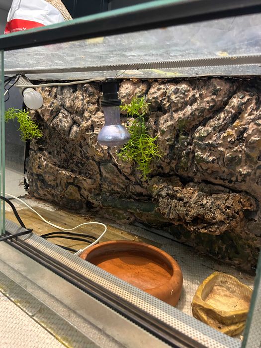 Terrarium 160x60x100