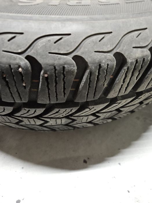 Dębica Frigo HP2 205/55/16