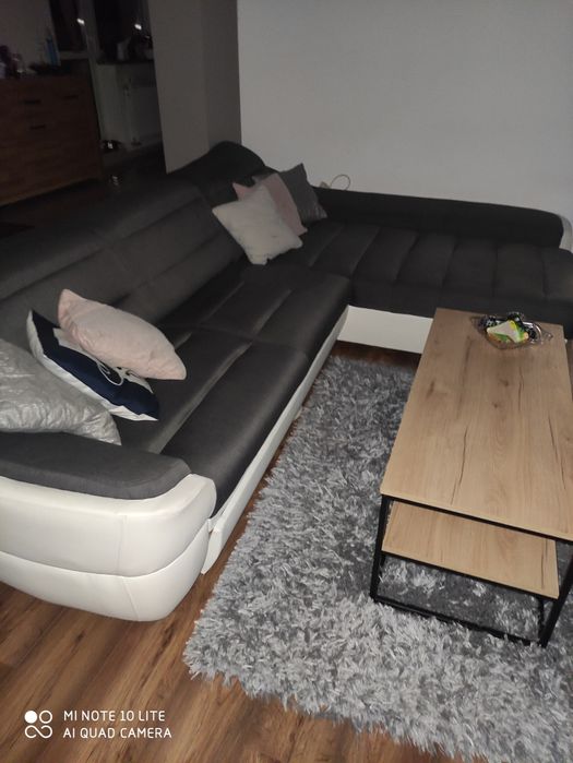 Rogówka biało szara