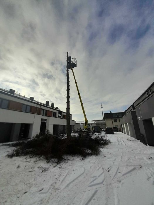 Wycinka drzew, Podnośnik koszowy, rębak, montaż reklam, zrębki,