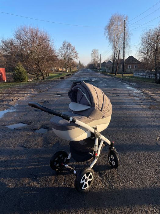 Дитяча коляска  2в1 Adamex Erika