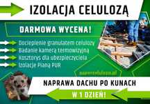 Wdmuchiwanie celulozy | Naprawa dachu po kunie | Termowizja | CELULOZA