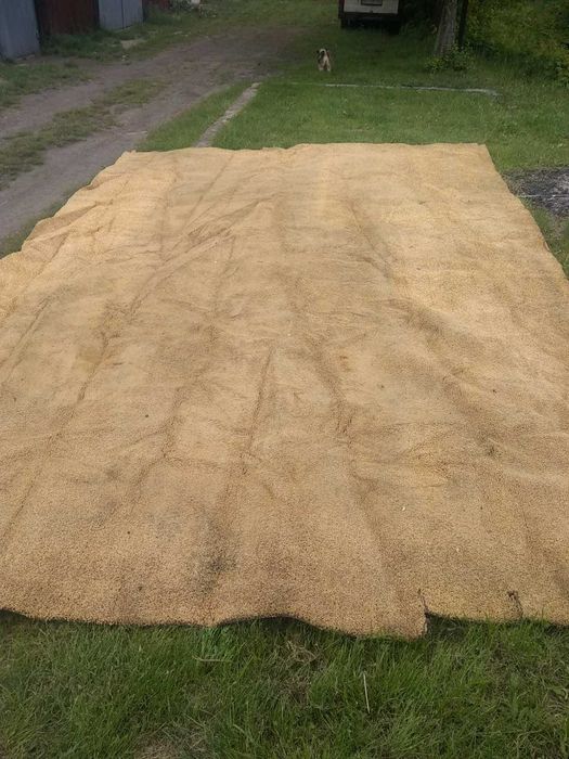 Палас    ковролін