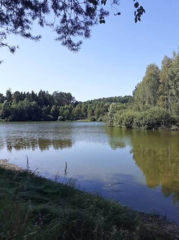 Sprzedam działkę nad jeziorem w Sępolnie Małym