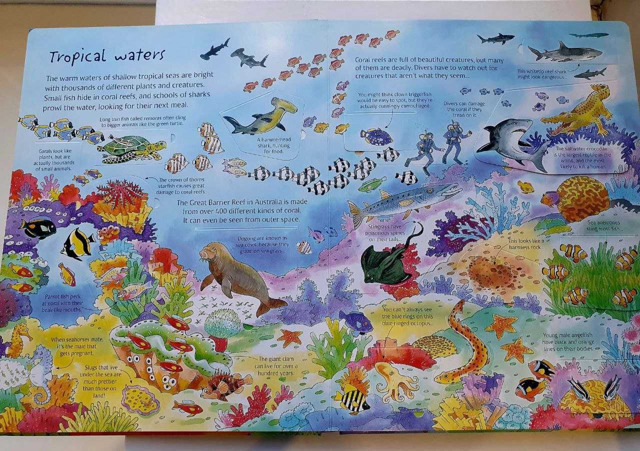 See under the Seа Usborne, Questions and Answers about Time