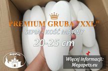 Sepia Kość mątwy PREMIUM XXL Lissachatina Papugi