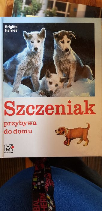 Szczeniak przybywa do domu