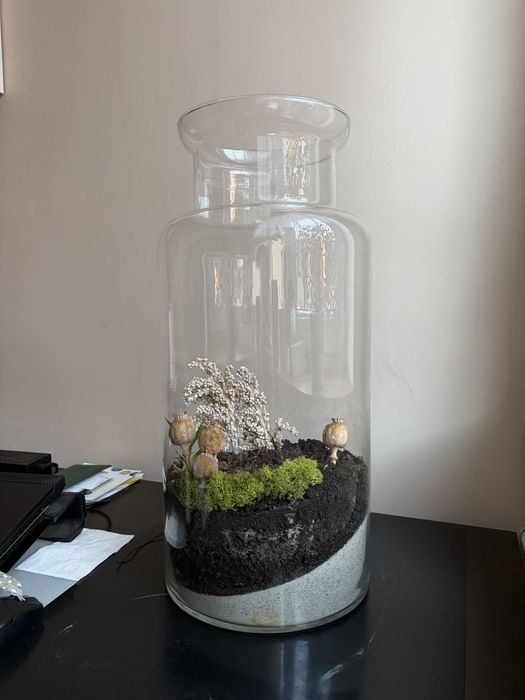 Terrarium, slój z mchem - ok 60cm