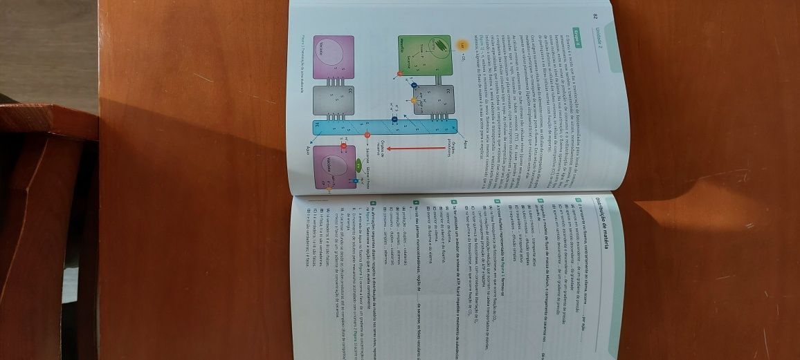 Livro exercícios de Biologia e Geologia 10 ano