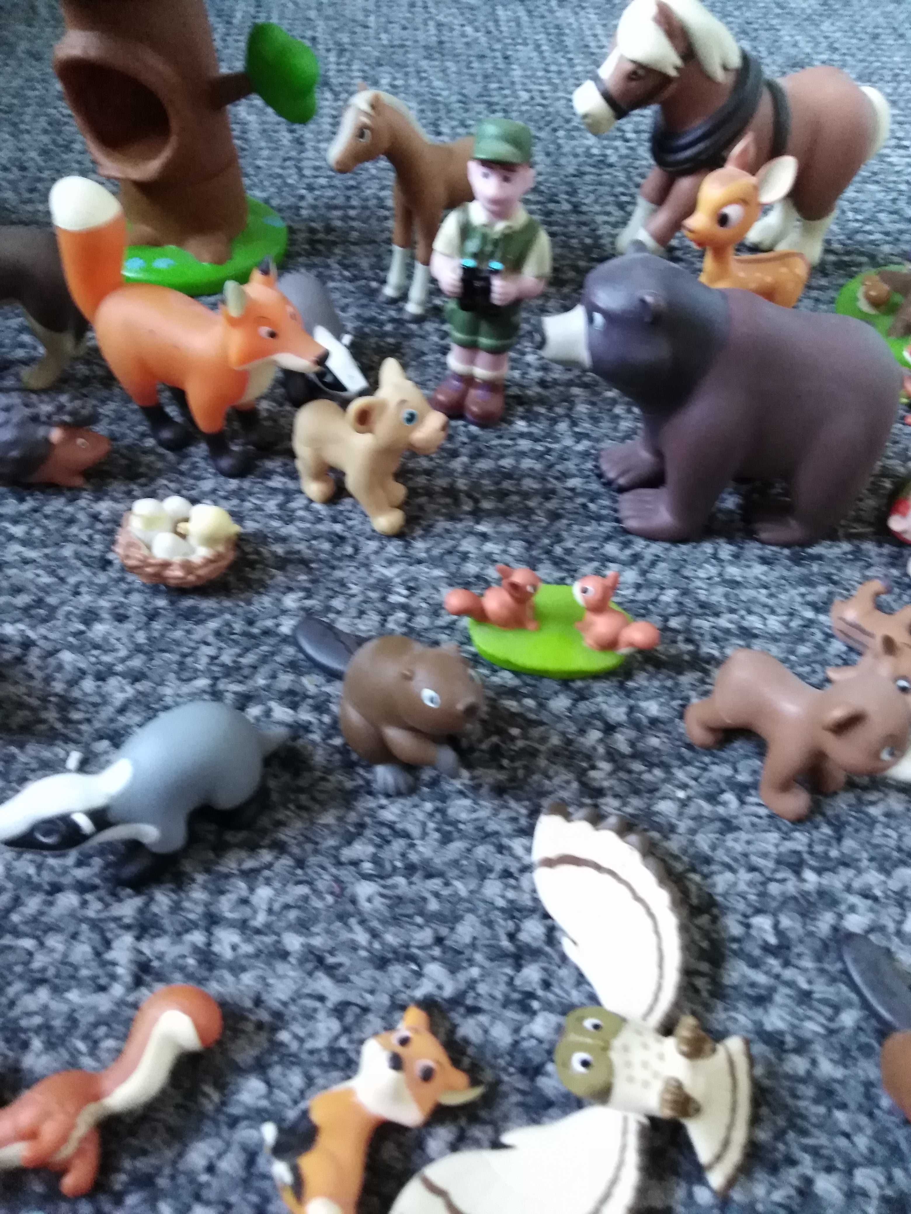 Zestaw książek edukacyjnych wraz z zabawkami