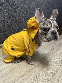 Одяг дощовик для собак француза жовтий