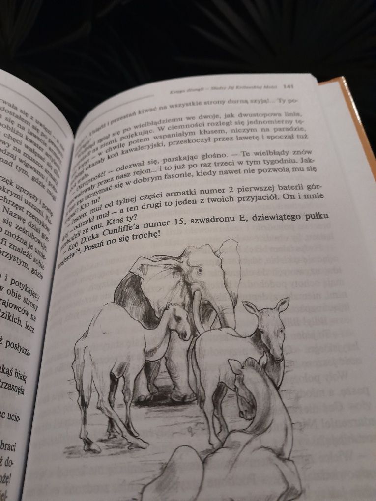 Księga dżungli KIPLING przygodowa o zwierzętach lektura jak nowa