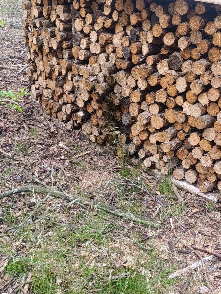Drewno opałowe pocięte lub w całości