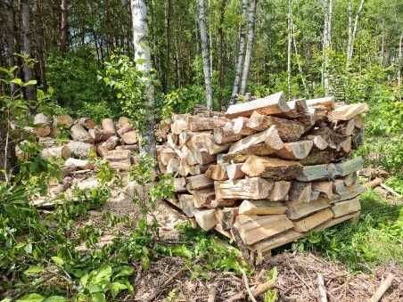 drewno opałowe i kominkowe sezonowane i świeże