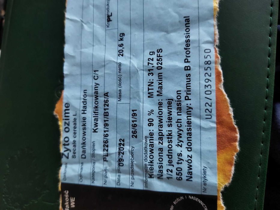 Żyto Hadron zbiór 2025