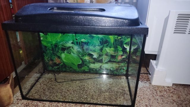 Продам аквариум на 60 литров