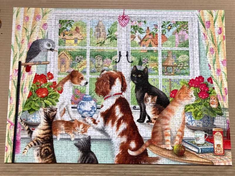 Puzzle 2x1000 "Zwierzęta domowe" (Animals at home) Falcon, Jumbo