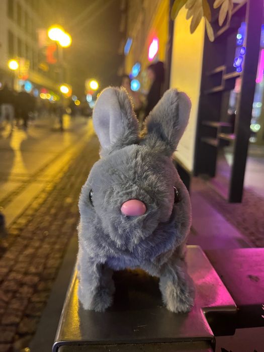 Chodzikowe Przytulaki