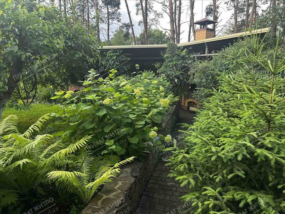 Сосни на ділянці, річка та пляж за воротами. Пошук закінчено!