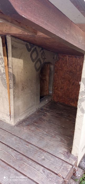 Продам собачу буду