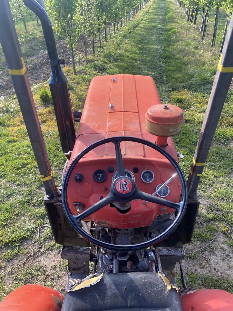 Massey Ferguson MF 135V mklll, 3cyl 47KM, sadowniczy, 255,235,147