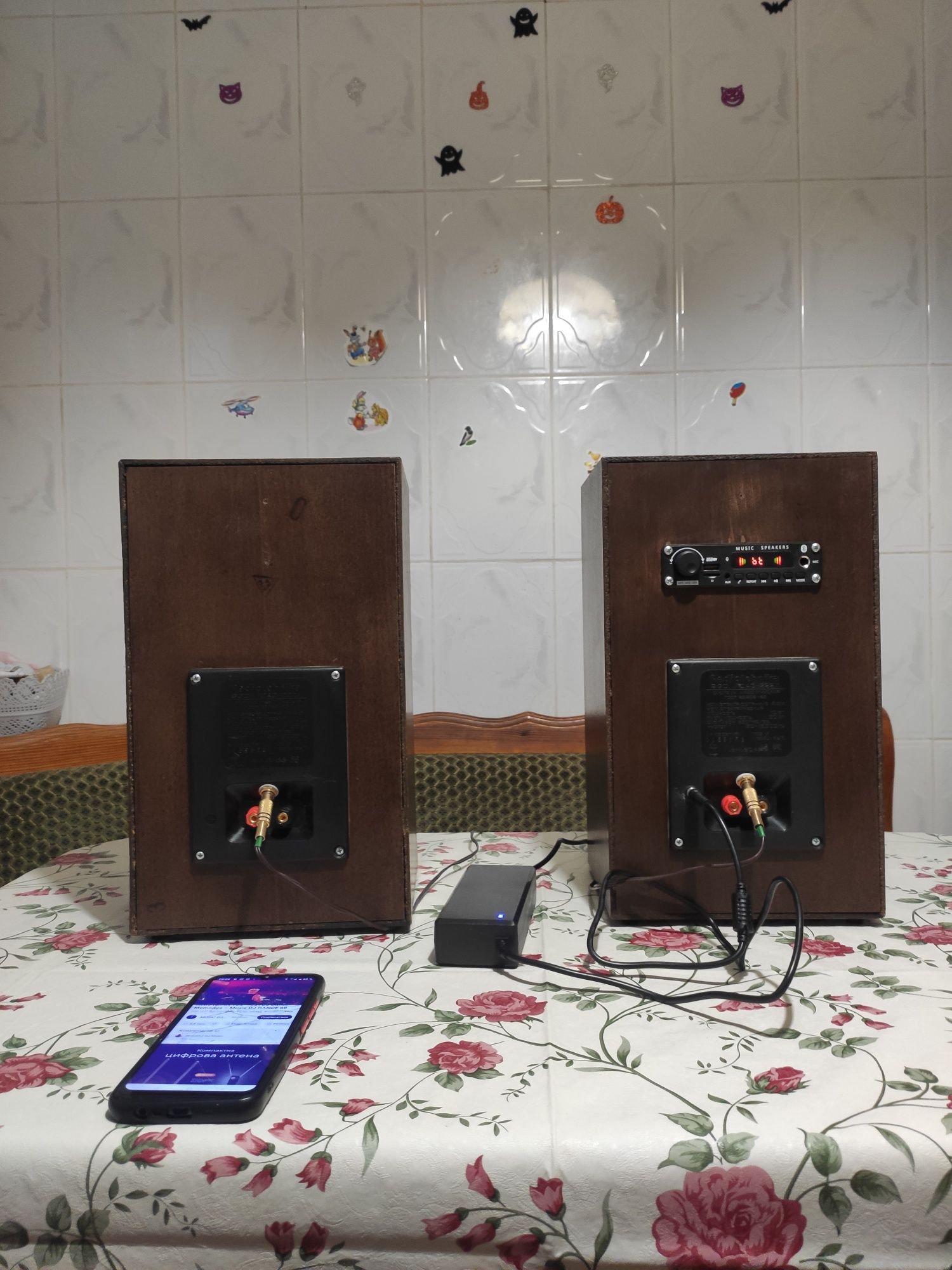 Активная акустика Радиотехника С-30