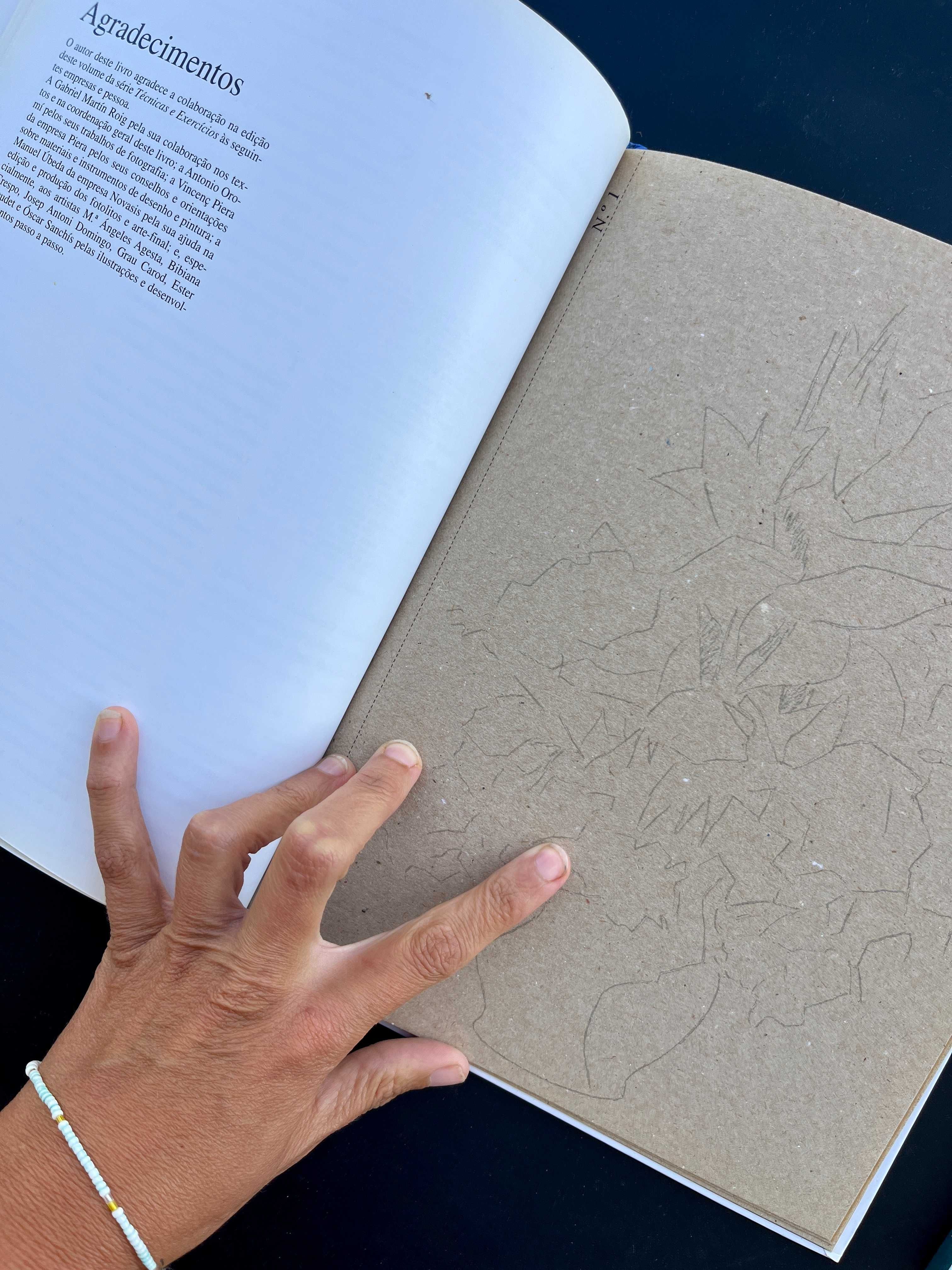 Livros de Arte e Pintura – Técnicas, História e Artistas