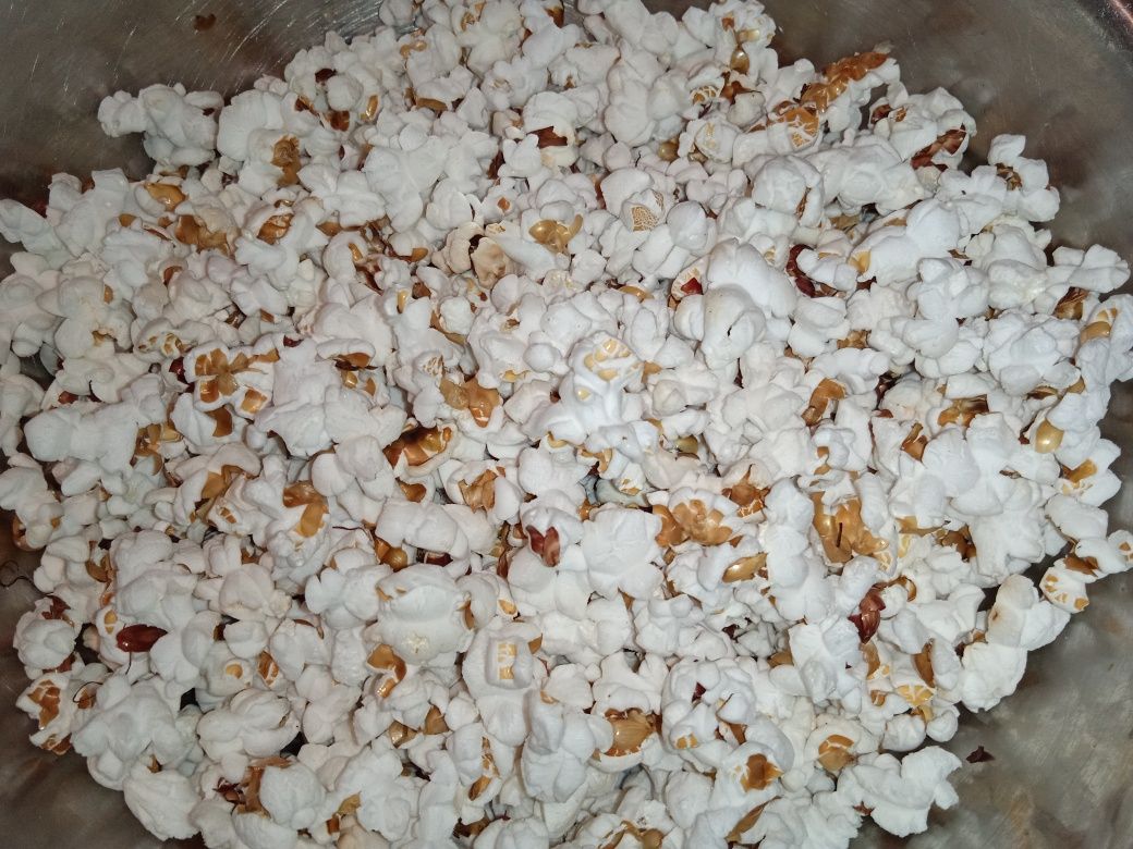 Кукурудза для попкорну