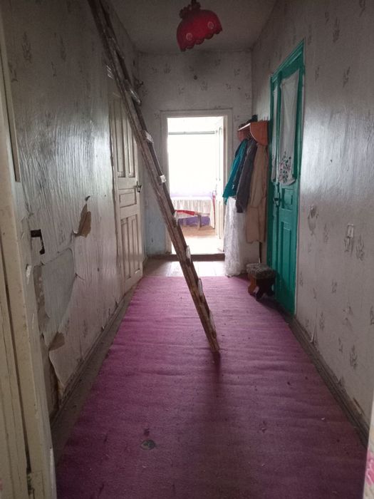 Приватний будинок с. Сивухи