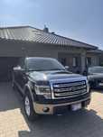 Ford F150 Ford F150 2013 5.0 Coyote LPG USA