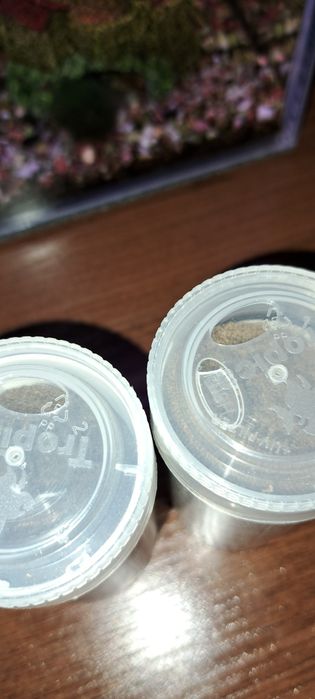 Pokarm dla rybek Tropical Insect Menu i Tropical Pro Defence