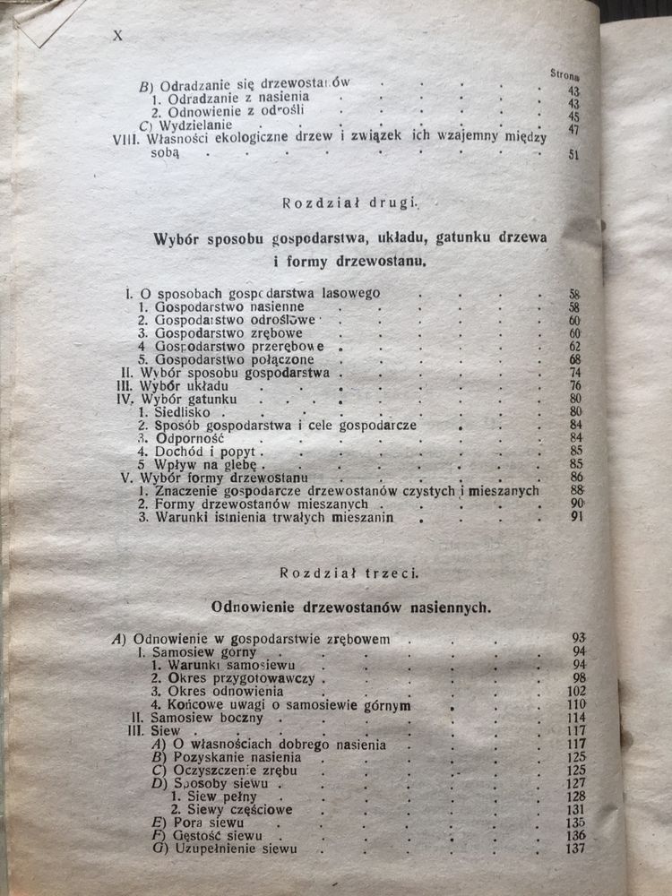 Hodowla lasu Sokołowski Lwów 1921 leśnictwo