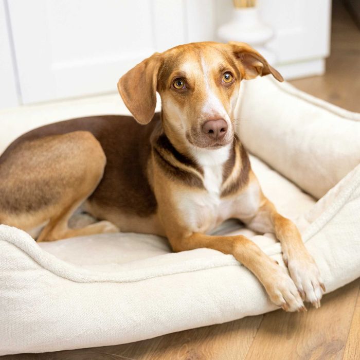 Seria PREMIUM - ortopedyczne legowisko IRIS (100x80 cm, Beż)